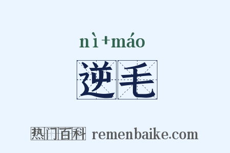 逆毛是什么意思的图片